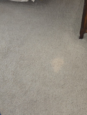 contact about carpet cleaning ca area rug cleaning ca carpet cleaning in san diego area rug cleaning in san diego contact about carpet cleaning ca area rug cleaning ca carpet cleaning in san diego area rug cleaning in san diego