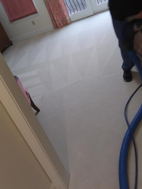 contact about carpet cleaning ca area rug cleaning ca carpet cleaning in san diego area rug cleaning in san diego contact about carpet cleaning ca area rug cleaning ca carpet cleaning in san diego area rug cleaning in san diego