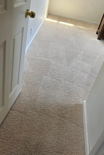 contact about carpet cleaning ca area rug cleaning ca carpet cleaning in san diego area rug cleaning in san diego contact about carpet cleaning ca area rug cleaning ca carpet cleaning in san diego area rug cleaning in san diego